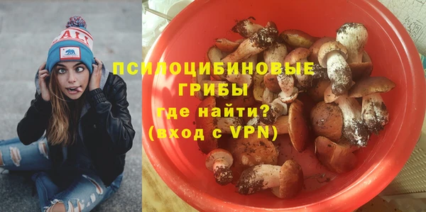 a pvp Магадан