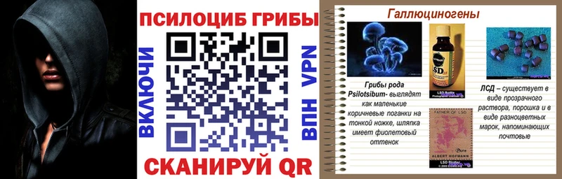 Купить где  Камень-на-Оби  Псилоцибиновые грибы мицелий 